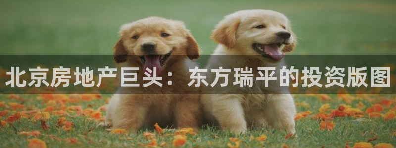 永利房地产有限公司董事长是谁