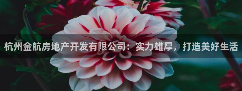 永利积分卡怎么算的