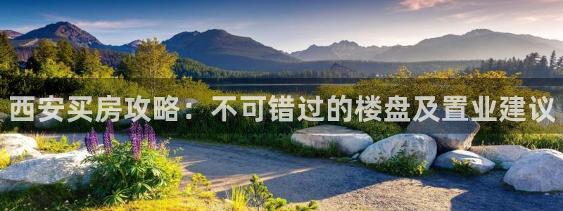 永利背一分什么价格