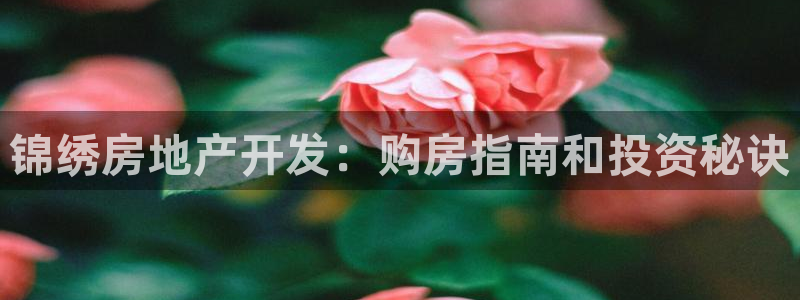 永利网会员