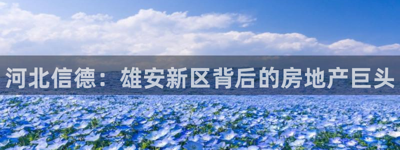 永利会员卡级别及福利