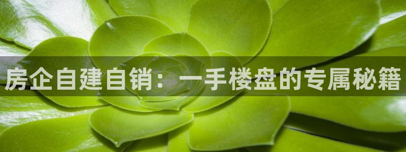 永利积分兑换