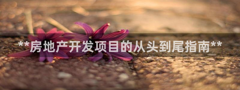 永利集团简介概况