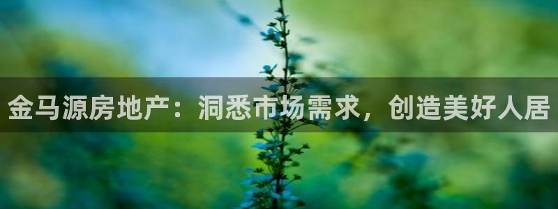 永利皮带官网