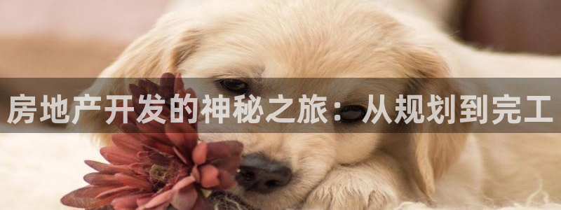 永利包装
