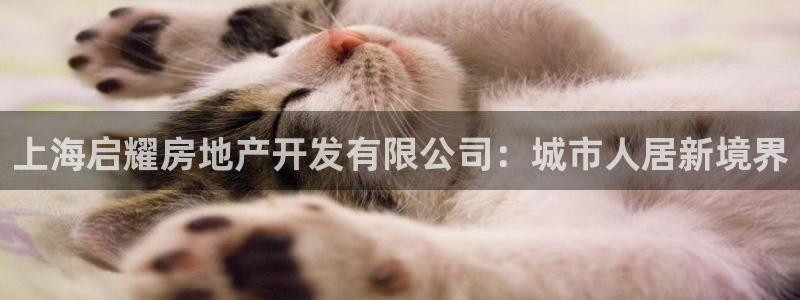 永利皮具厂