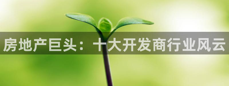 永利骗局