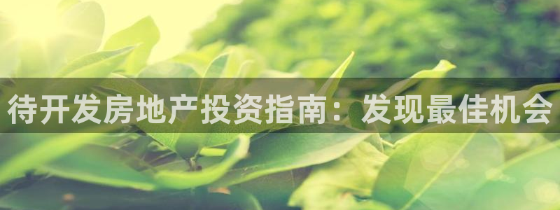 永利骗局
