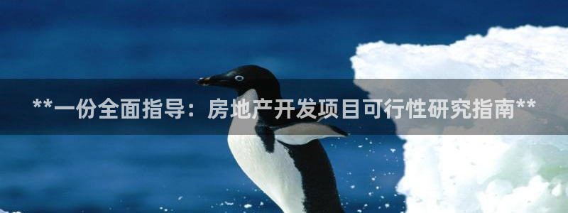 佛山永利工业皮带厂怎么样