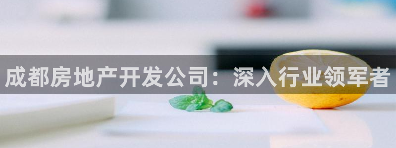 永利车业有限公司