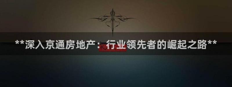 永利制带
