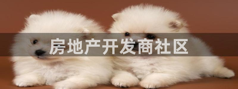 永利官网可信吗