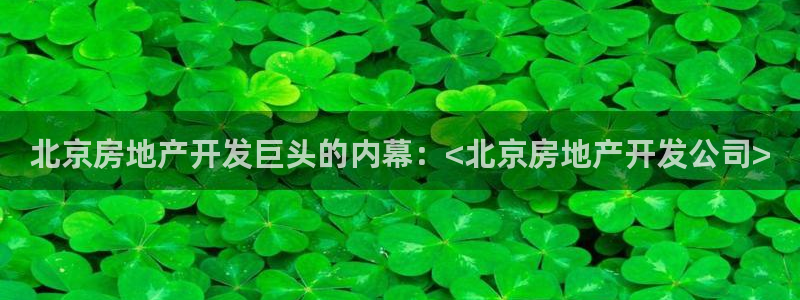 永利网络科技有限公司