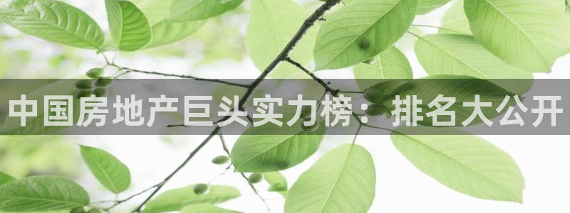永利链条