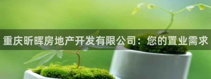 永利皮带型号说明