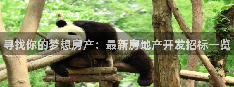 永利购物中心拆迁