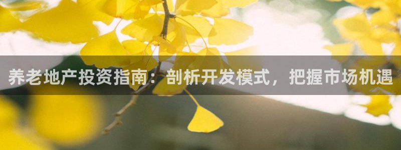 永利 澳门