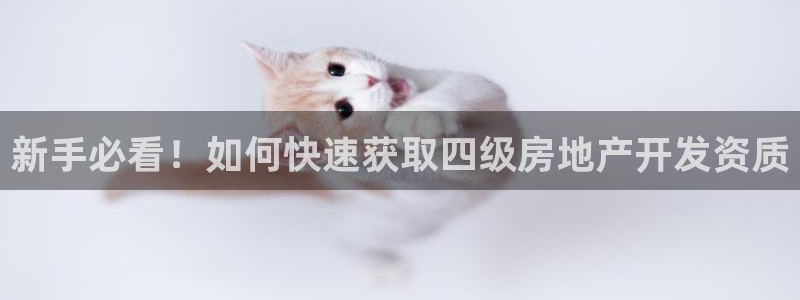 永利股票300230