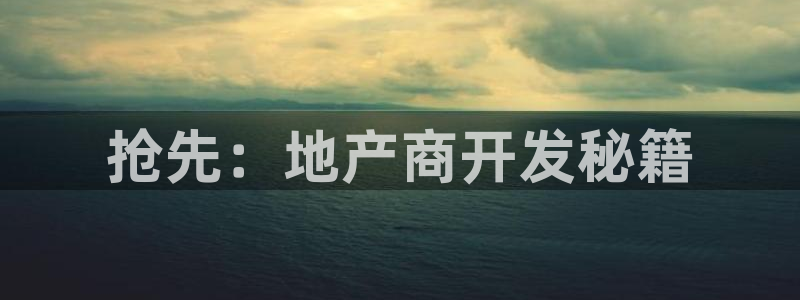 永利股份公司