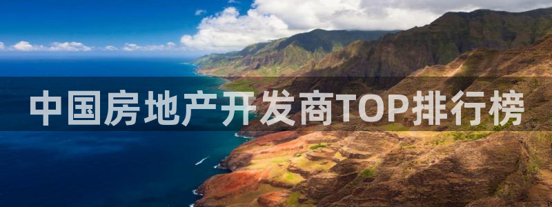 永利股份公司