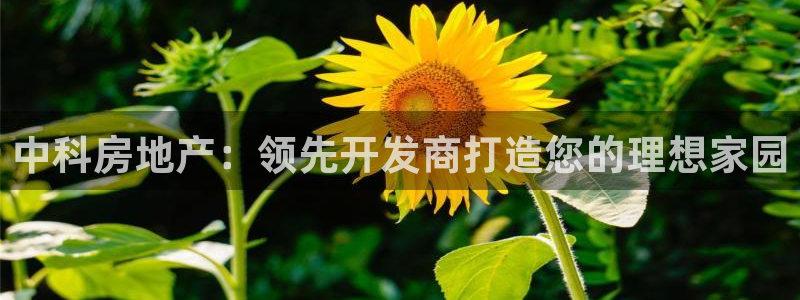 永利皮带型号说明图解