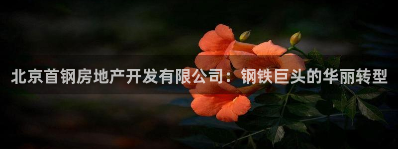 永利企业