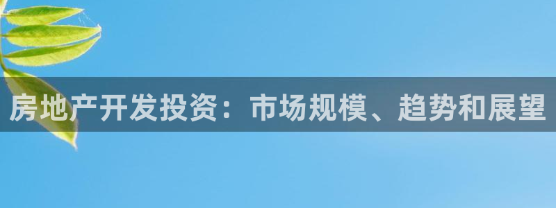 永利制带