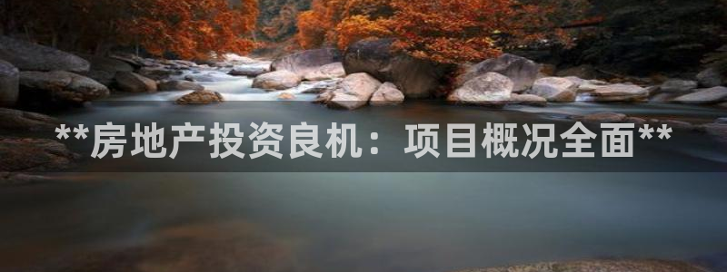 永利皮带官网价格查询