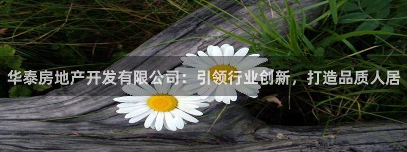 永利保险公司排名