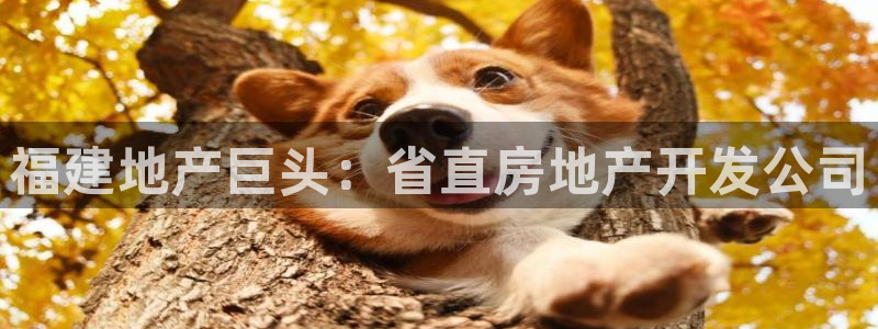 永利官方网招聘最新消息查询