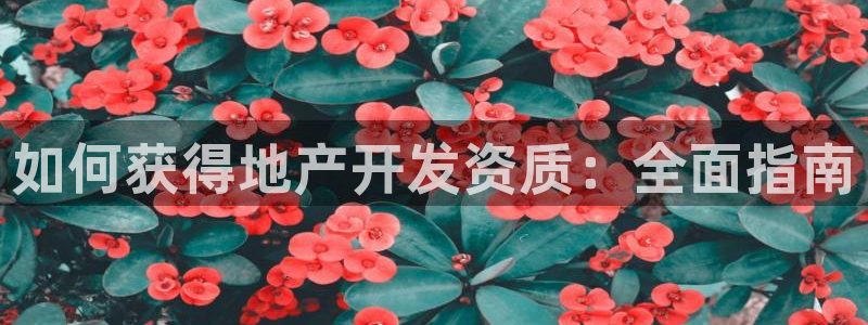 永利官网中文