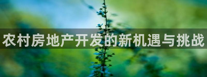 永利公司是做什么的