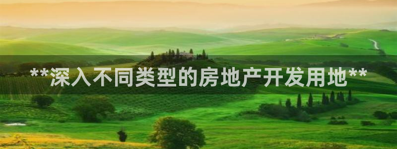 永利老板的名字叫什么名字