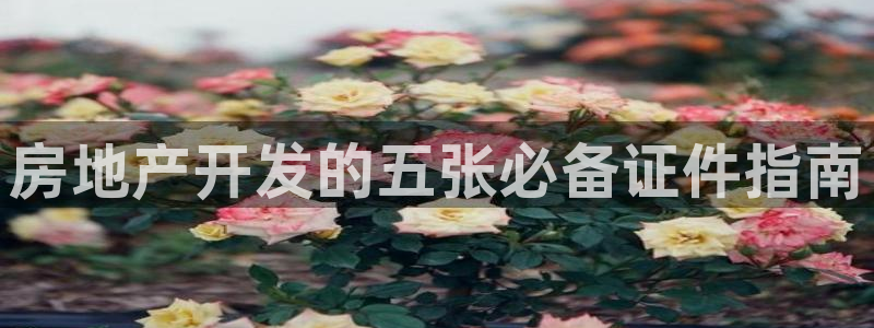 永利集团简介概况