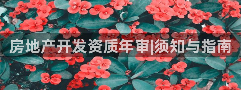 永利pc网址