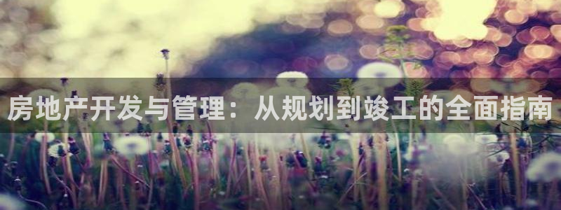 永利皮带报价查询