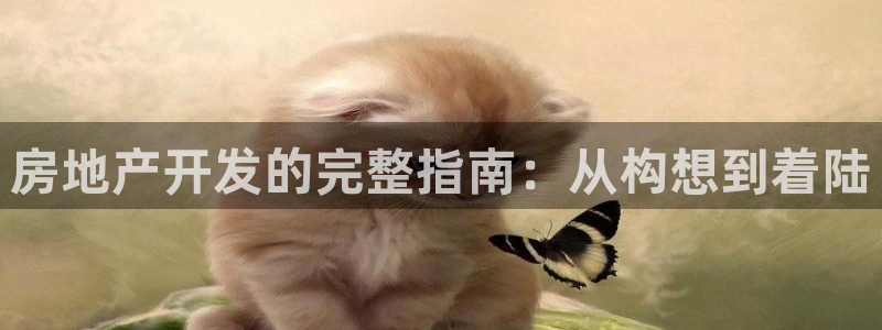 永利房地产开发有限公司总经理