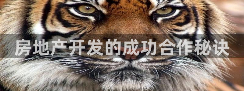 永利背五厘正常价格