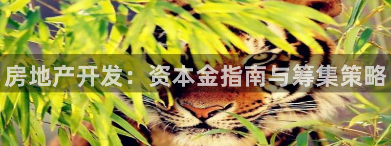 永利皮带型号说明书图片