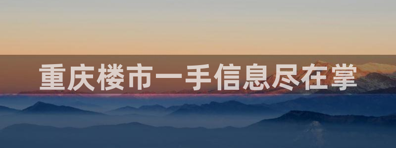 永利集团董事长