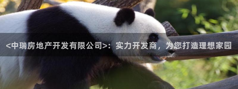 苏州金沙永利