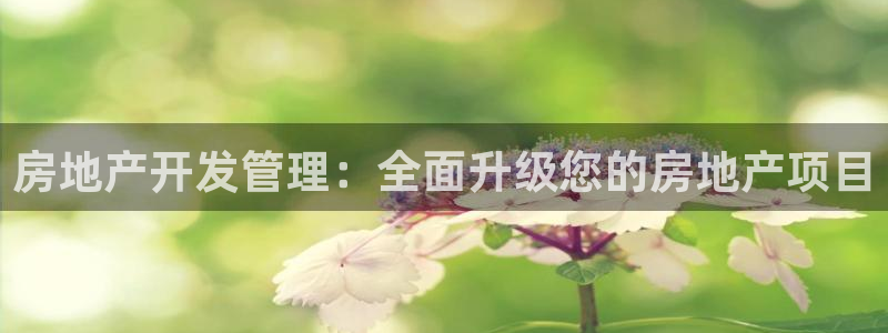 为什么永利网址打不开
