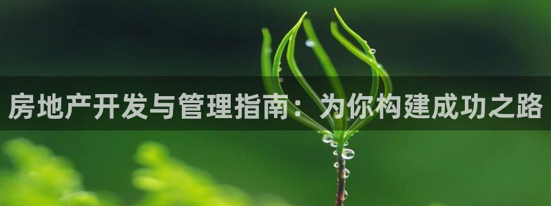 永利股份公司