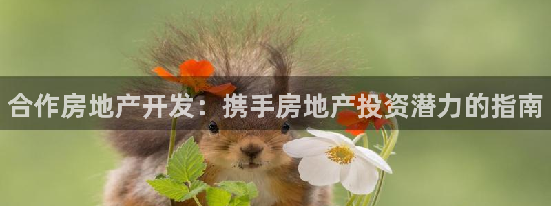 永利官网中文