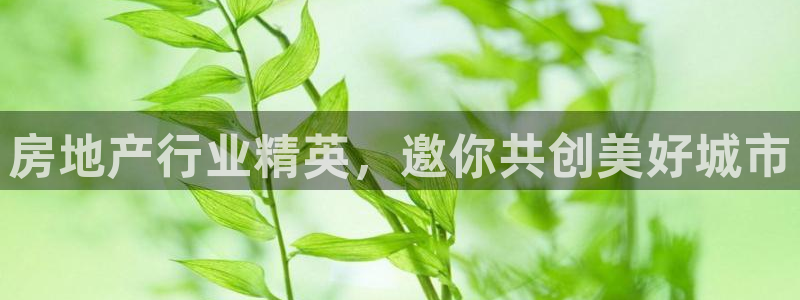 永利皇宫是金沙的吗
