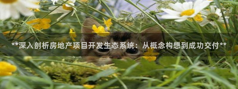 永利建材有限公司