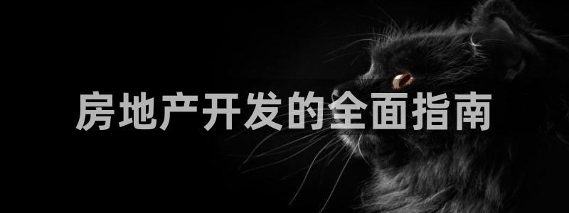 永利房地产有限公司董事长是谁