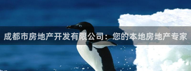永利传送带业务