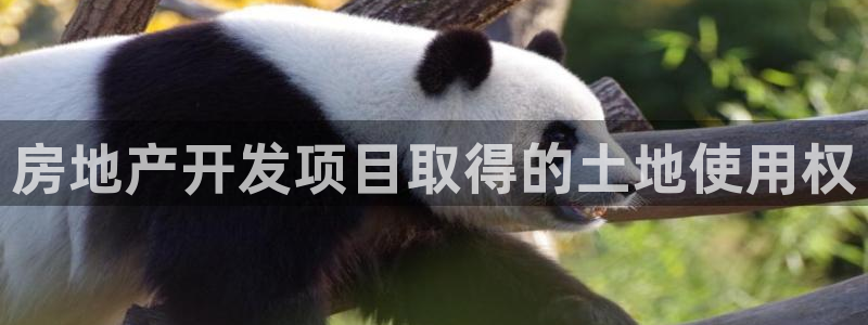 滨州市永利汽车销售服务有限公司