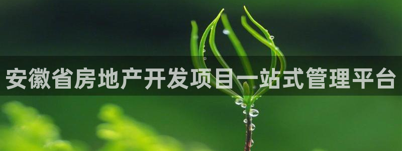 永利集团304am官方入口